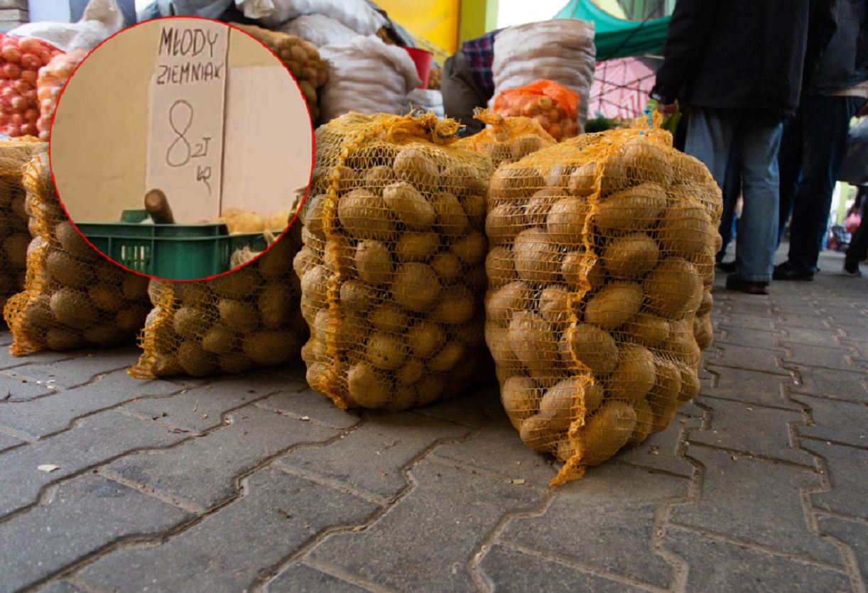 8 zł za młode ziemniaki. "Fatalnie rokuje na wszystkie plony"
