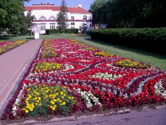 Obraz
