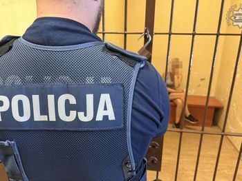 Śląsk: 32-latka miała blisko 3,5 promila we krwi. Przewoziła dziecko i psa