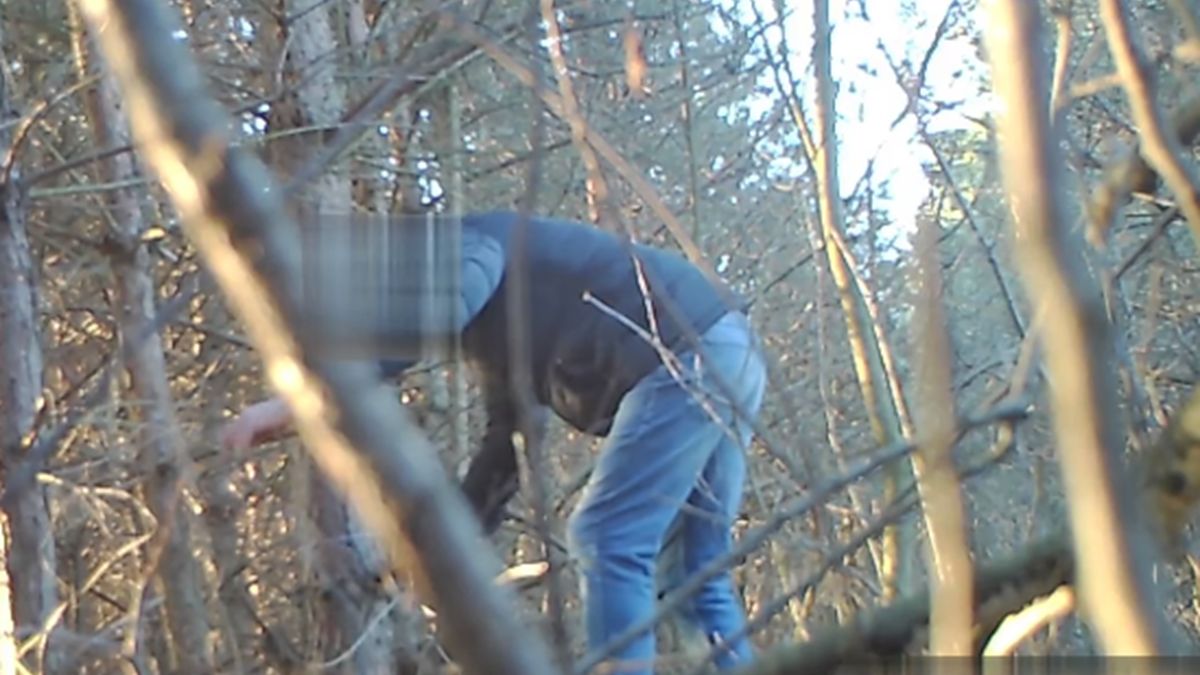 Wnykarz przyłapany na fotokomórce.