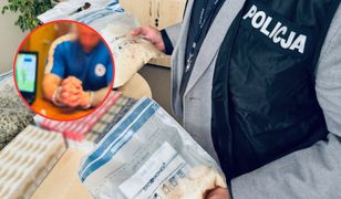 Przeszukali samochód pseudokibiców. Ogromne odkrycie na tylnym siedzeniu