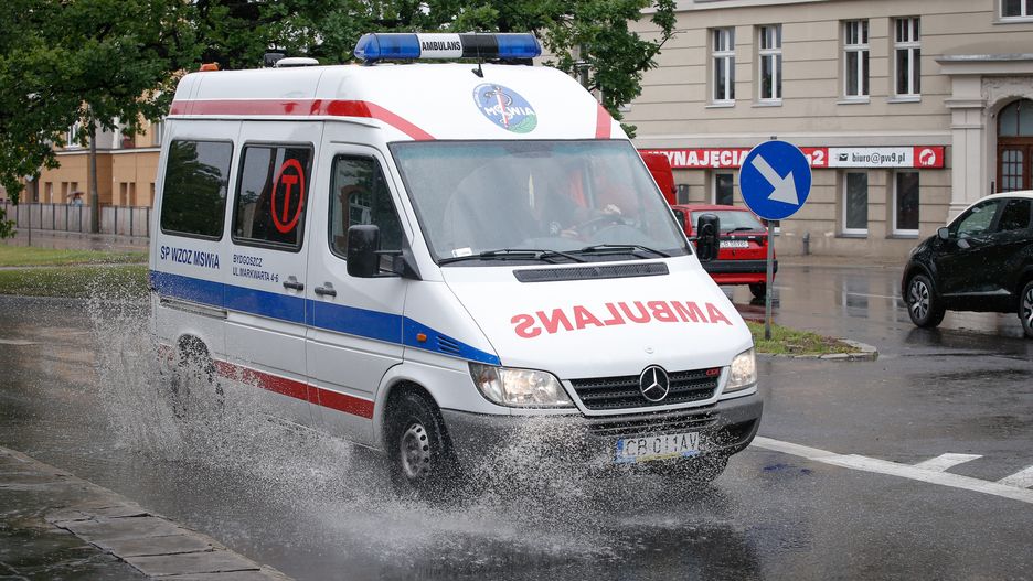 Kobietę ugodziła krowa. Zdjęcie ilustracyjne