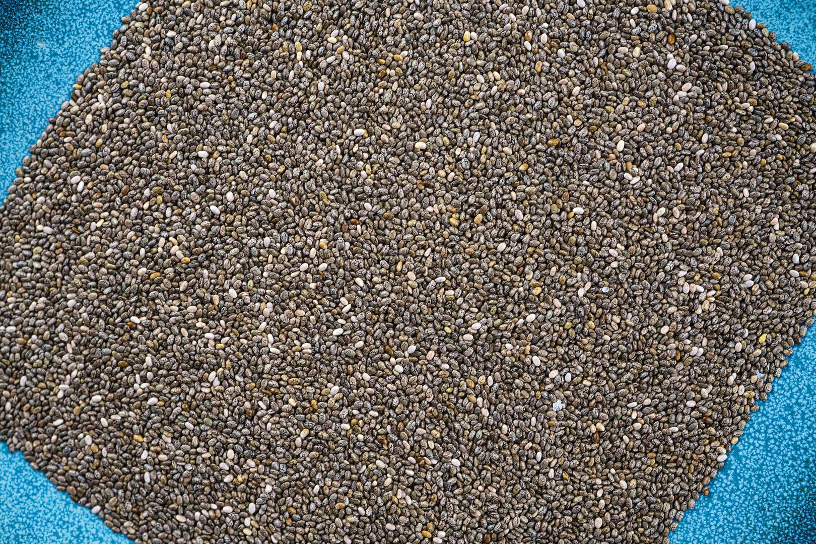 CANADA - 2024/10/07: In this photo illustration, raw chia seeds on a blue plate. (Photo Illustration by Roberto Machado Noa/LightRocket via Getty Images)