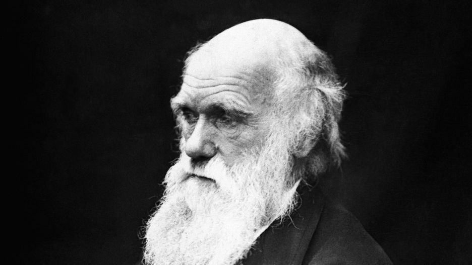 Darwin