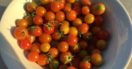 Lepiej usiądźcie. Oto cena pomidorów w jednym z polskich sklepów