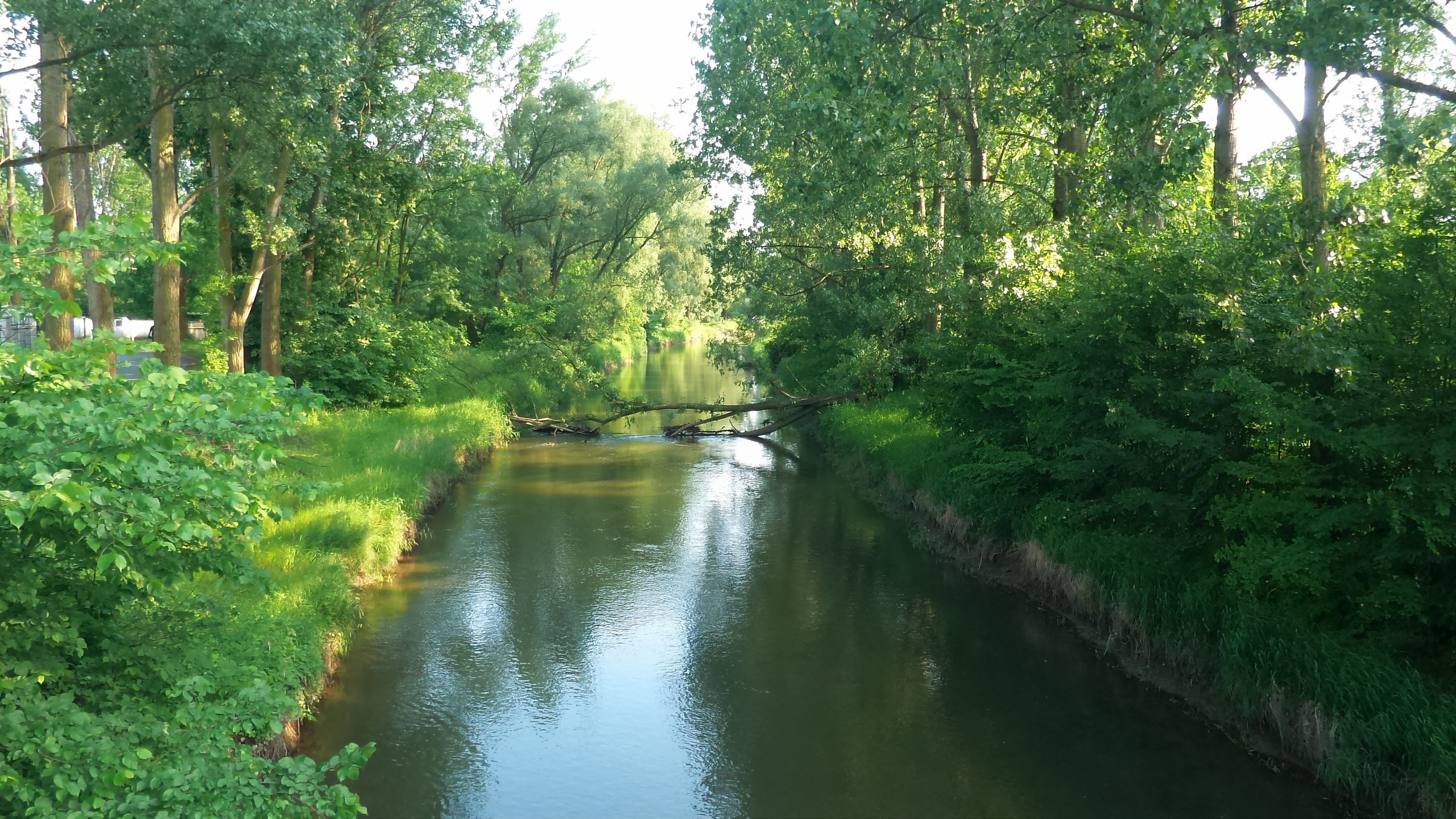ASUS ZenFone Zoom – fotograficzny test smartfona z 3-krotnym zoomem optycznym 100
