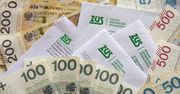 ZUS wysłał pisma. Ruszyły kontrole. "Mamy obowiązek"
