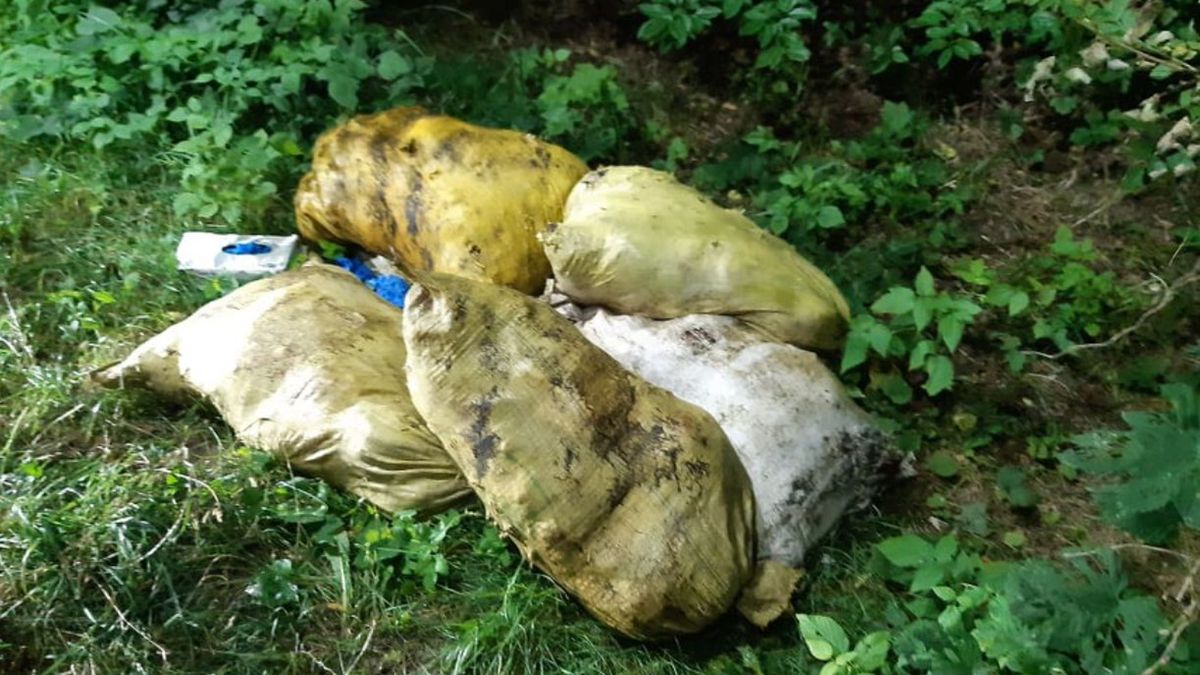 W Zalewie Grudniańskim dokonano szokującego okdrycia 