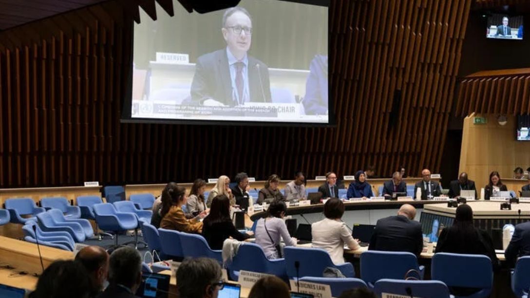 WHO / Christopher Black
Fourth meeting of the Intergovernmental 