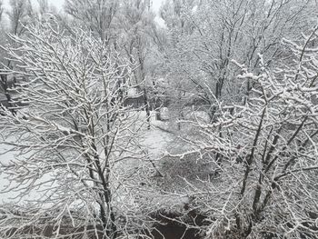 Pogoda w Lublinie. Prognoza na czwartek 30 kwietnia. Chłodny poranek z przymrozkiem