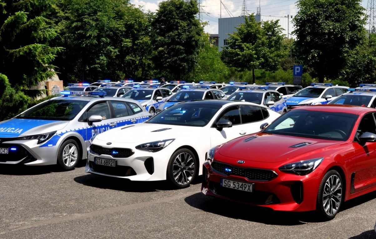 Stingery są ciekawą alternatywą dla nieoznakowanych bmw serii 3