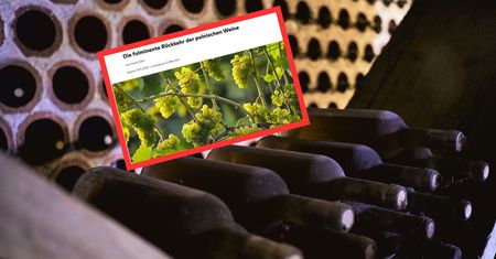 Niemcy zachwyceni produktami z Polski. "Nie muszą już ukrywać"