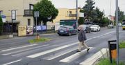 Poznań: Oto główne grzechy kierowców i pieszych. Niebezpiecznie zwłaszcza przy szkołach