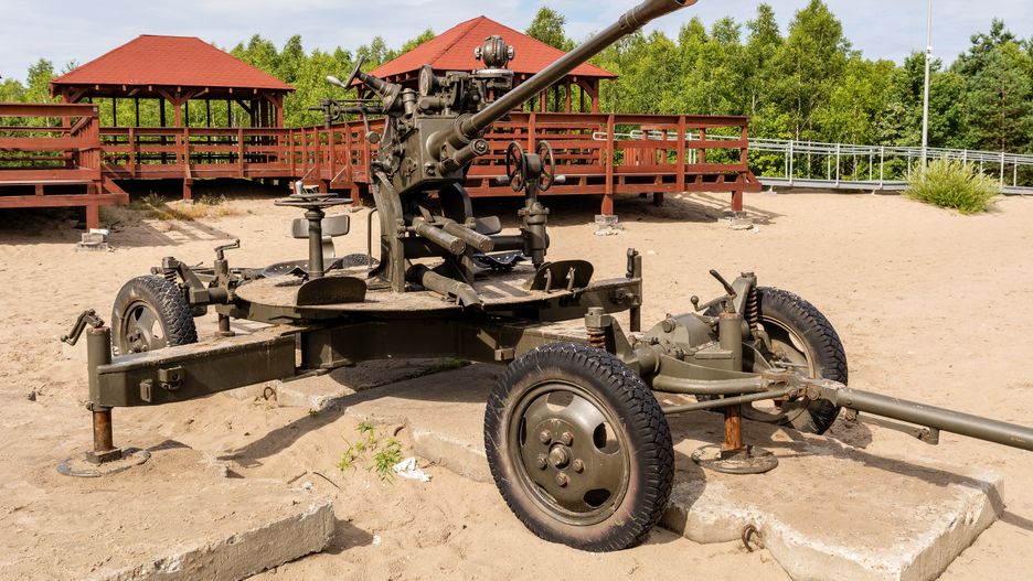 Stara armata na Pustyni Błędowskiej