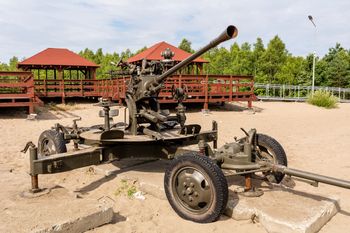 Olkusz: Wielkie widowisko historyczne na Pustyni Błędowskiej
