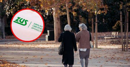 Prawda o rencie wdowiej ujawniona. Szef ZUS mówi, jak jest