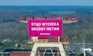 Aktywiści Greenpeace w kopalni. Wspięli się na 55-metrowy szyb