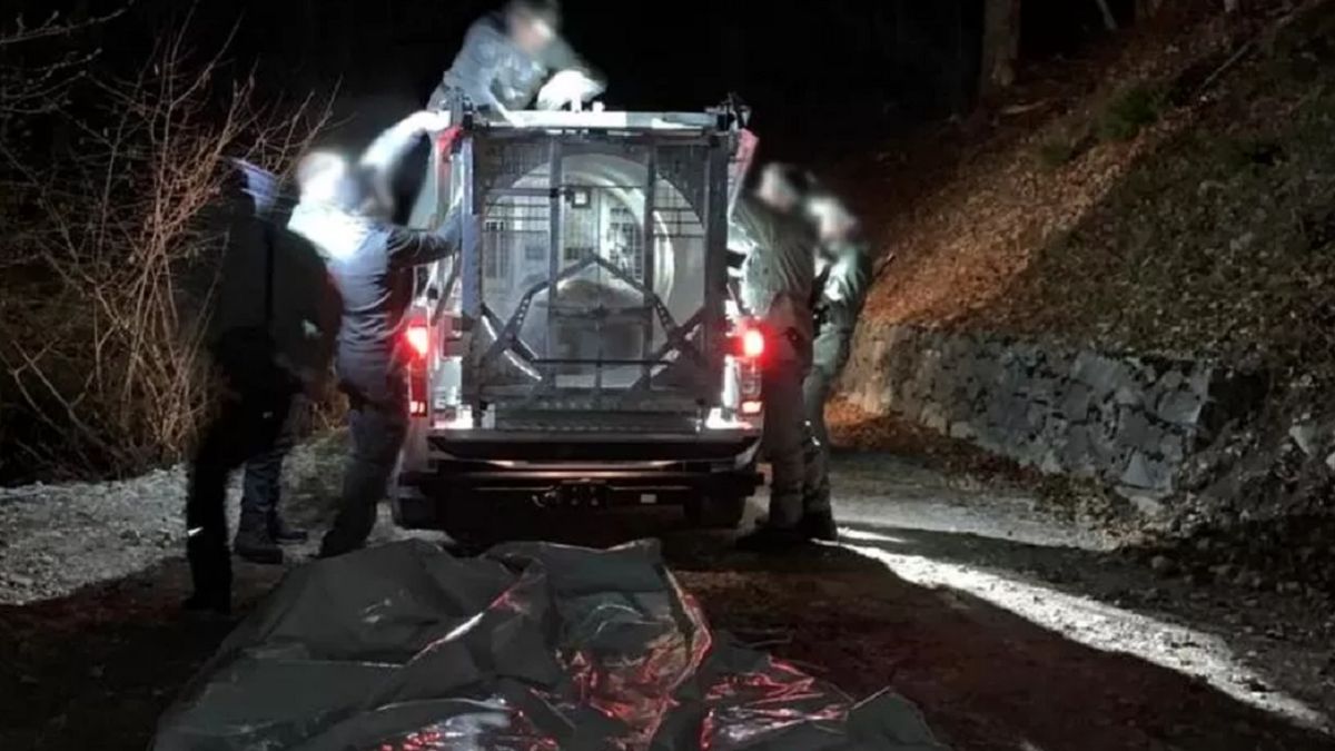 Niedźwiedzia schwytano i przewieziono do ośrodka.