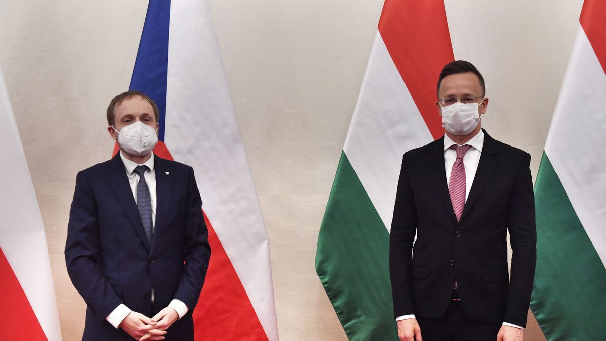 Koronawirus. Zaszczepieni będą wyjeżdżać bez przeszkód za granicę. Pięć państw forsuje pomysł