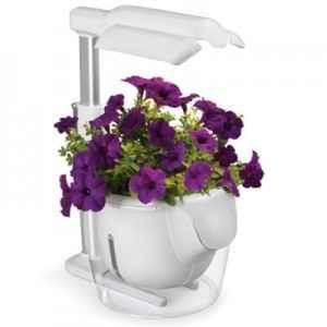 Indoor garden, czyli mini-ogródek w twoim domu 1