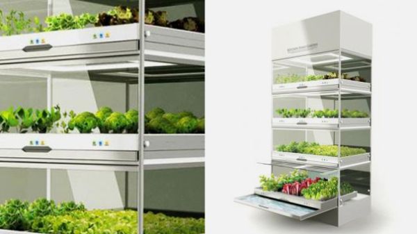 Mini-farma w twojej kuchni 1