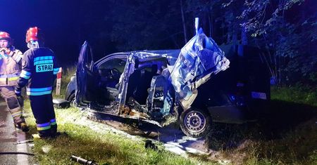 Kierowca chciał ominąć zwierzę. Tyle zostało z jego toyoty