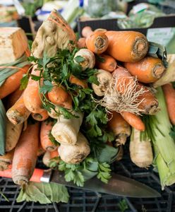 Rosyjskie warzywa na polskich stołach. Rekordowe ilości marchwi