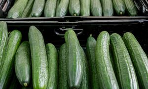 Wysłali ogórki do Polski, zarobili ponad 106 mln zł. Skąd pochodzą?