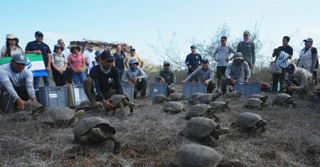 Wielka radość na Galapagos. "Ogromne osiągnięcie"