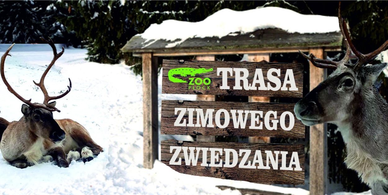 Trasa zimowego zwiedzania w płockim zwierzogrodzie. ZOO Płock zaprasza