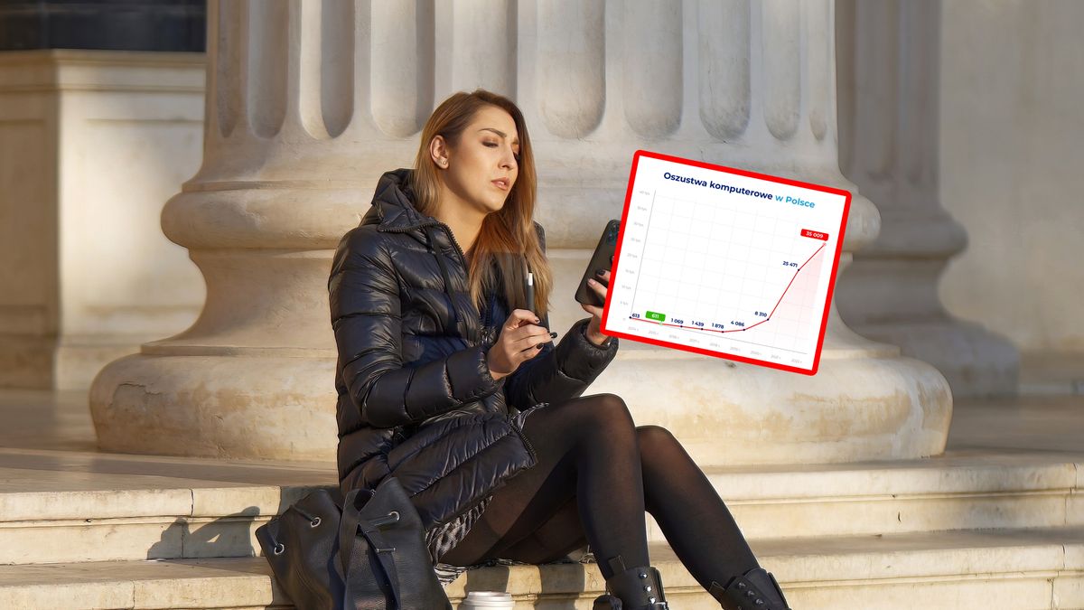 Oszustwa komputerowe w Polsce