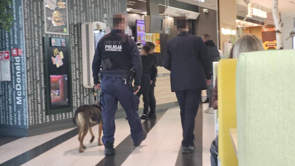 Policjant przewodnik psa służbowego w centrum handlowym VIVO! Lublin