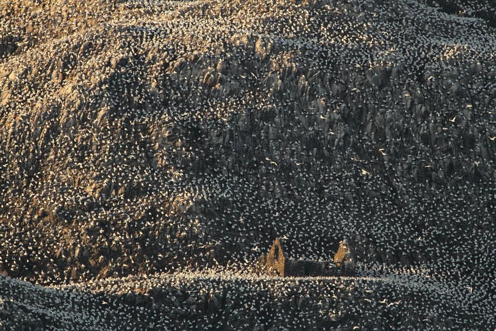 Prezentujmy Wam zwycięskie zdjęcia konkursu British Wildlife Photography Awards 2016 9