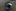 Canon 50 mm f/1.8