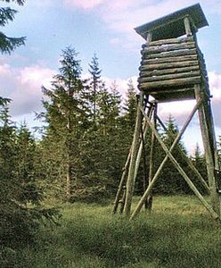 Myśliwy postrzelił kolegę. Policja bada incydent w Napiwodzie