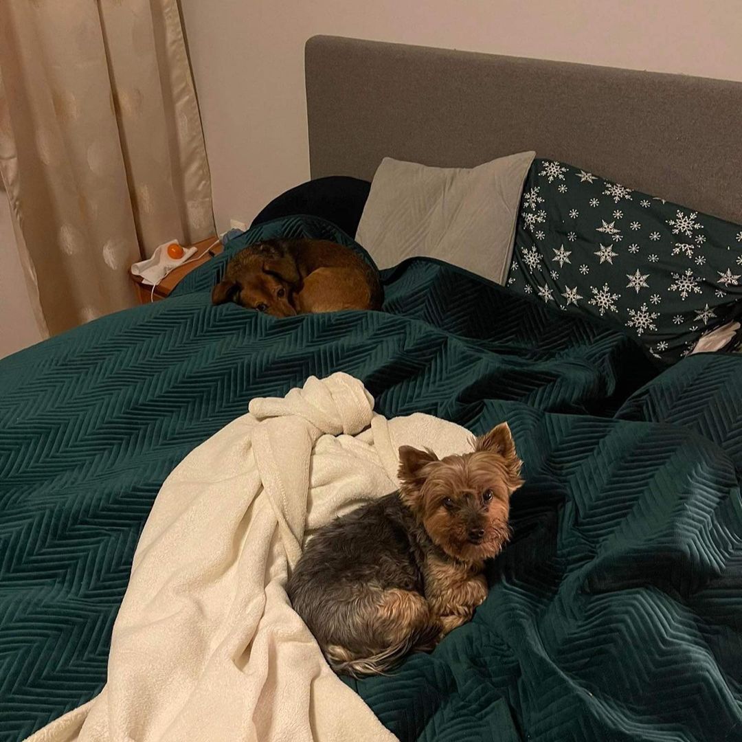 Tak mieszka Elżbieta Romanowska