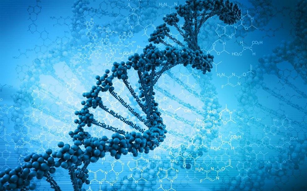 Z kim uprawiali seks nasi przodkowie? Dawna Ziemia jak świat z "Władcy Pierścieni"! 2