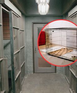 Znęcała się nad swoim dzieckiem. Zamknęła go w budzie i skazała na śmierć głodową