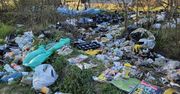 Dzikie wysypisko na skraju parku Kopernika w Gorzowie. Czytelniczka: "Sytuacja jest coraz gorsza"