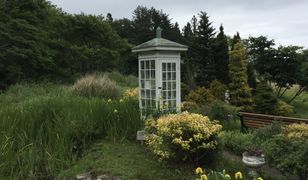 Więź z tymi, którzy odeszli. Projekt ma pomóc pogrążonym w żałobie