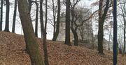Będzin: Park na Wzgórzu Zamkowym w listopadowym wydaniu. Bliskie spotkanie z naturą i historią wokół średniowiecznej twierdzy. ZDJĘCIA