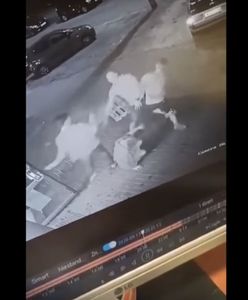 Radom. Pobicie przed sklepem. Najnowsze informacje