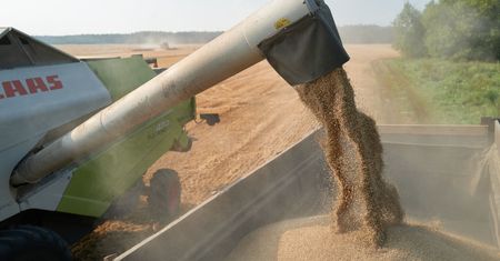 "Węgry są gotowe". Zboże z Ukrainy pojedzie inną drogą?
