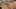 Age of Empires IV. 43 minuty rozgrywki z trybu wieloosobowego