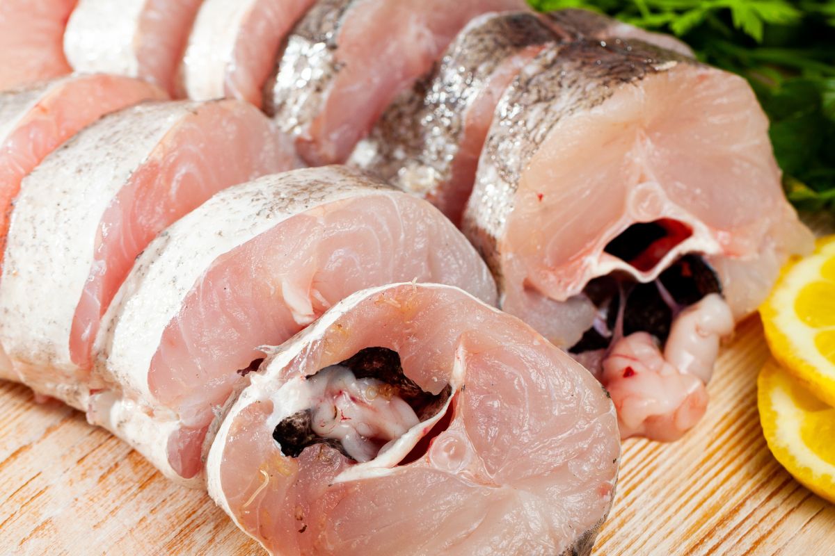 Smaczna ryba prawie bez ości i intensywnego zapachu. Mówią o niej "morski kurczak"