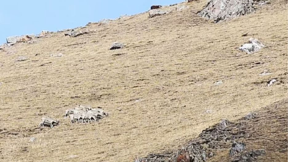 Przekonaj się, jak spostrzegawcze jest twoje dziecko