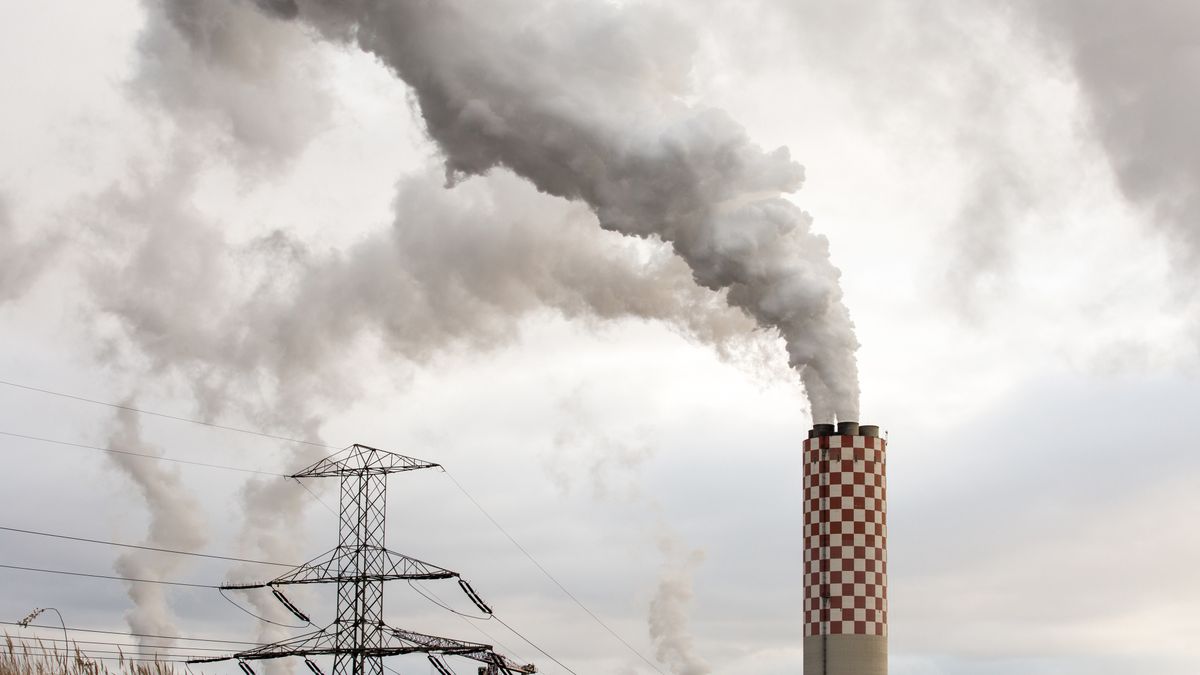 torba eko zero waste