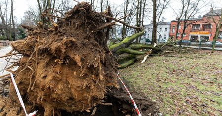 Niszczące wichury nad całą Polską. Zdjęcia ze skutków przejścia niżu Nadia