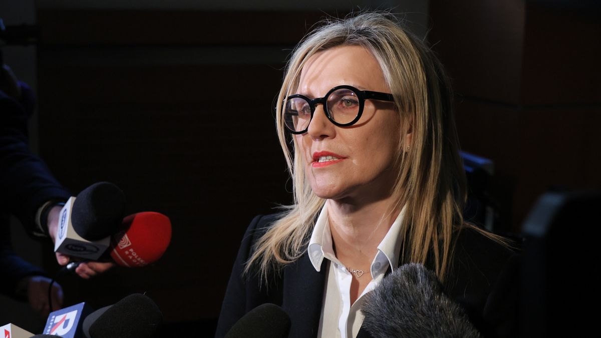 Ewa Wrzosek
Pawe� Supernak
briefing, konferencja, konferencji, Nowogrodzka, partia, PiS, polityk, polityka, prasowej, prasowy, PROKURATURA