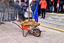 Trwa protest rolników w Poznaniu. Chwycili za taczkę z obornikiem